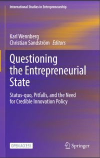 Questioning the Entrepreneurial State