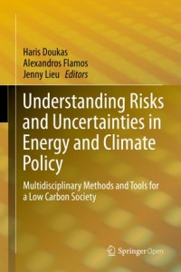 Understanding risks and uncertainties in energy and climate policy :multidisciplinary methods and tools for a low carbon society