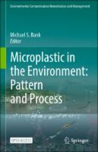 Microplastic in the environment:pattern and process