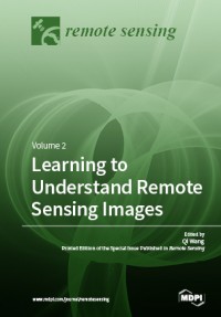 Learning to understand remote sensing images