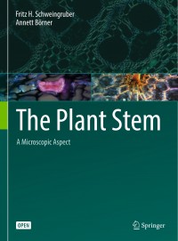 The plant stem :a microscopic aspect