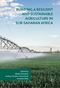 Building a resilient and sustainable agriculture in Sub-Saharan Africa