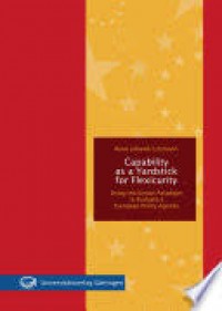 Capability as a yardstick for flexicurity:using the Senian paradigm to evaluate a European policy agenda