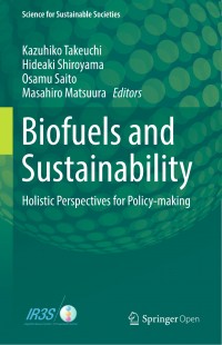 Biofuels and sustainability :holistic perspectives for policy-making