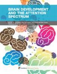 Brain development and the attention spectrum