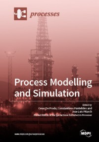 Process modelling and simulation