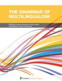 The Grammar of multilingualism