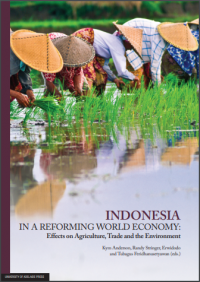 Indonesia in a reforming world economy:effects on agriculture, trade and the environment